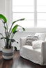 Blissful Abode - Dove Grey