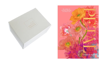 Petal - By Adriana Picket