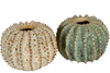 Spiked Ceramic Cactus Vase - Natural