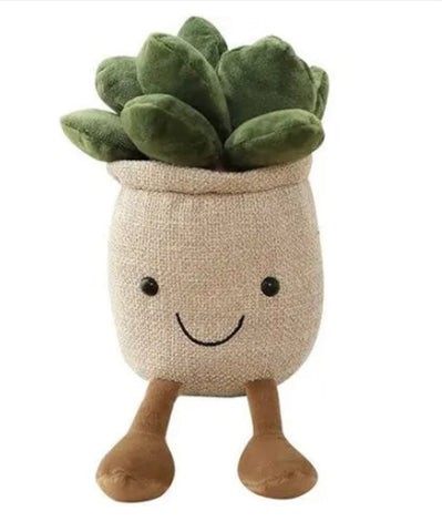 Natural Cactus Face Plush Toy